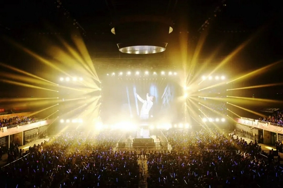 迪玛希演唱会现场。受访者供图