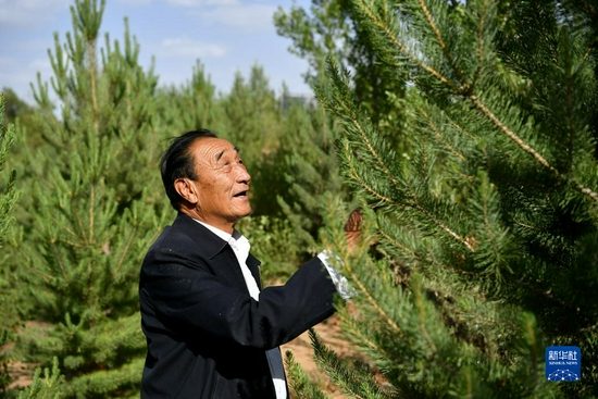 “七一勋章”获得者石光银在自己最早治理的“狼窝沙”林地里（2020年5月30日摄）。新华社记者 刘潇 摄