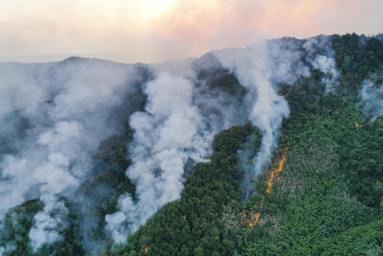 图说：这是8月24日拍摄的重庆市北碚区与璧山区交界一带发生山火区域景象。新华社记者 王全超 摄