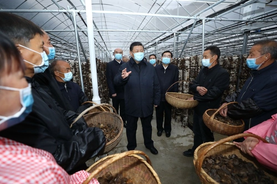 ↑2020年4月20日，习近平在陕西省商洛市柞水县小岭镇金米村智能联栋木耳大棚，同村民亲切交流。