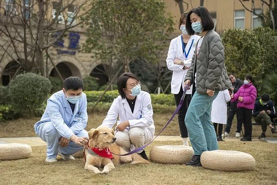 治疗犬加入互动 视觉中国 供图