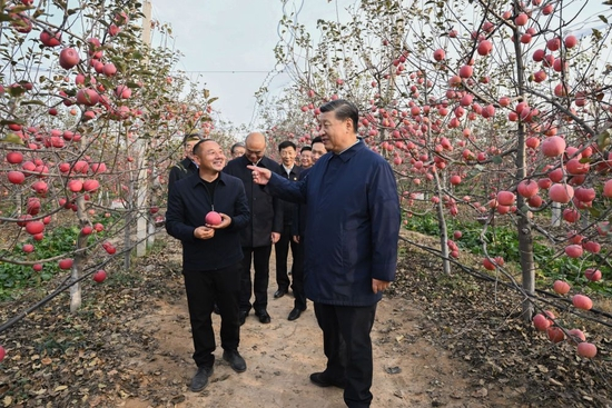 2022年10月26日下午，习近平在陕西省延安市安塞区高桥镇南沟村苹果园同老乡们亲切交流。新华社记者 燕雁 摄
