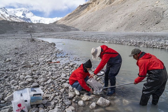  在珠峰脚下的绒布河畔，科考人员在采集水生生物样本（5月22日摄）。新华社记者 孙非 摄