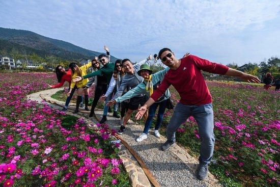  2019年11月6日，外国游客在湖州市长兴县小浦镇的千亩花海中合影。（徐昱 摄）