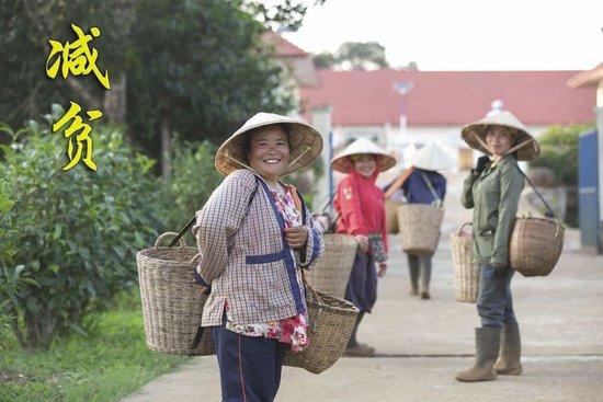 村民到老挝南部波罗芬高原上的36庄园茶厂售卖茶叶（2022年3月25日摄）。中资公司老挝36庄园有限公司近年来在老挝南部高原开发当地古茶树资源，以中国工艺制茶，依靠茶产业带动当地百姓脱贫致富。