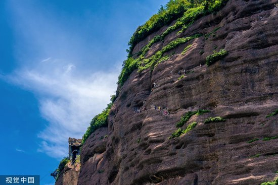 猿猱道 图片来源：视觉中国