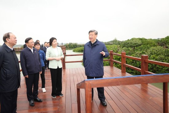 2023年4月10日上午，习近平在广东湛江市麻章区湖光镇金牛岛红树林片区考察。