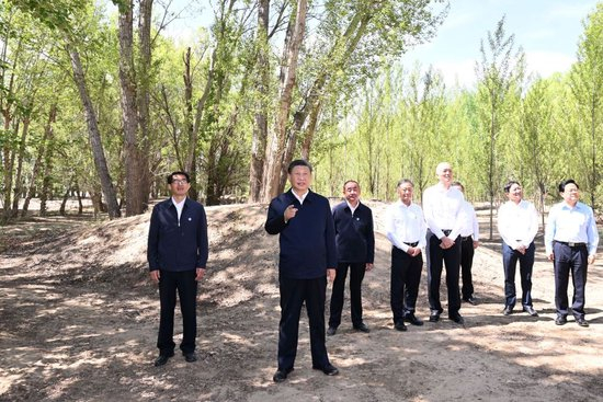 2023年6月6日上午，习近平在内蒙古巴彦淖尔临河区国营新华林场考察。