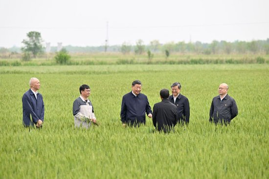 2023年5月11日上午，习近平在河北沧州市黄骅市旧城镇仙庄片区旱碱地麦田考察时，同种植户、农技专家亲切交流。