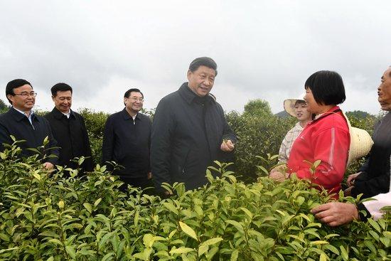 2020年4月21日,习近平总书记在陕西省安康市平利县老县镇蒋家坪村女娲凤凰茶业现代示范园区,同茶农们亲切交谈。