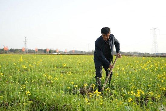  3月19日，在港中坪村，村民在疏通田间的水渠。