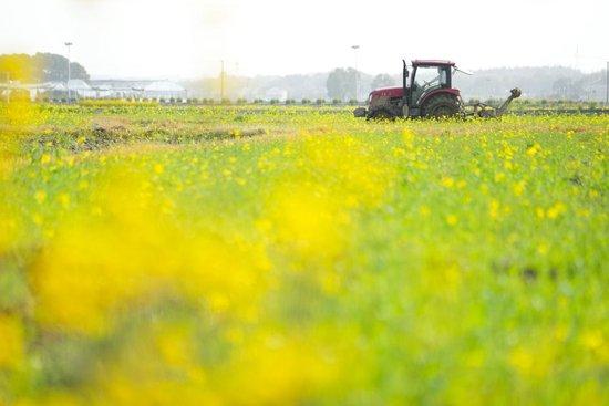 3月19日，在港中坪村，村民驾驶农机翻种田地。