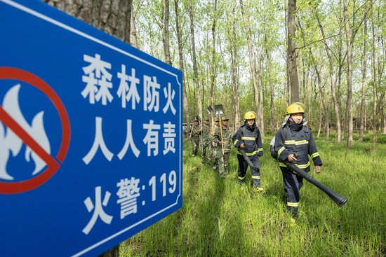  2024年4月9日，安徽省合肥市大房郢水库水源保护地庐阳经济开发区段，基干民兵正在林间巡查火灾隐患。