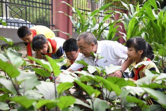  5月31日，老师带领学生在之江小学劳动实践基地学习蔬菜知识。新华社记者 胥冰洁 摄