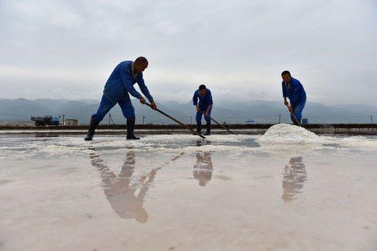 2016年8月25日，工人在运城盐湖进行扒盐作业。