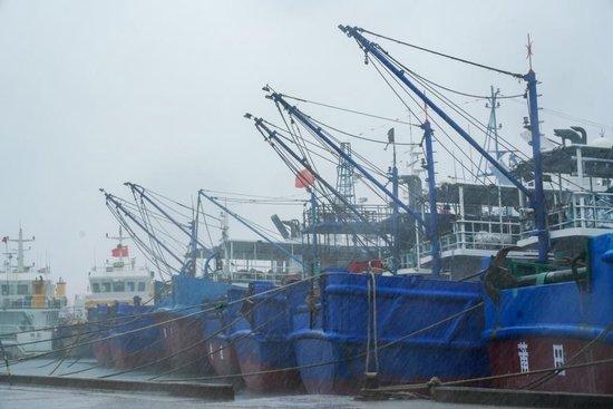  25日下午，在莆田市秀屿区平海镇一处渔港内的船舶。肖和勇 摄