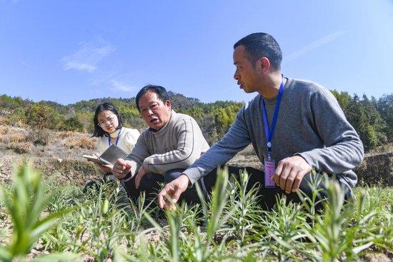 　　武义县纪委监委组织纪检监察干部下沉一线，坚决整治困扰群众身边的形式主义等问题，切实为基层减负，更好服务乡村振兴。图为该县纪检监察干部深入坦洪乡黄干山村中药材种植示范基地了解相关情况。通讯员 沈云建 摄