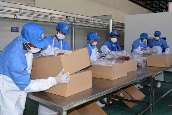 2024年9月11日,在马达加斯加首都塔那那利佛,当地工人包装即将出口中国的羊肉。新华社发(西塔卡·拉乔纳里松摄)