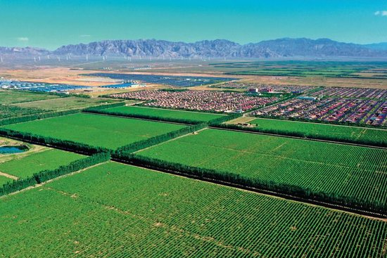 这是闽宁镇贺兰神酒庄的十万亩酿酒葡萄种植基地。葡萄酒产业的发展在带动移民脱贫致富的同时，也有效改善当地生态环境。（永宁县委宣传部供图）