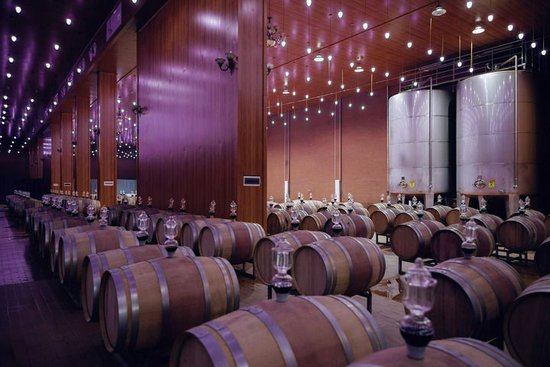  闽宁镇贺兰神酒庄酿酒车间的橡木桶。（永宁县委宣传部供图）