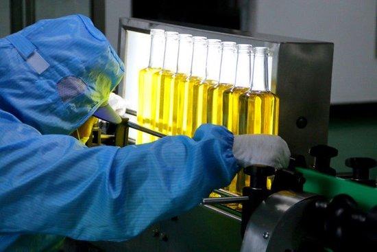 工作人员在河南省光山县一家油茶加工企业的灌装车间作业(2024年1月6日摄)。(受访者供图)