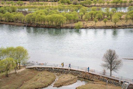 游客在西藏雅尼国家湿地公园欣赏风景(2025年4月4日摄)。新华社记者 丁增尼达 摄