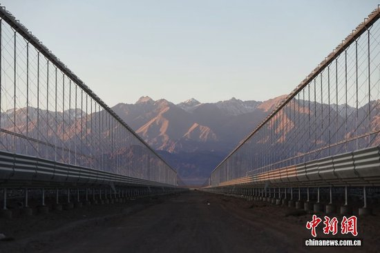  中新社记者 王紫儒 摄