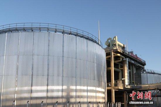 中新社记者 王紫儒 摄