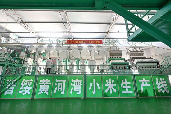  2025年7月1日拍摄的山西省吕梁市兴县晋绥黄河湾农业开发有限公司的小米生产线。抗战时期，地处晋西北地区的兴县和静乐县是晋绥抗日根据地的一部分。新华社记者 李鑫 摄