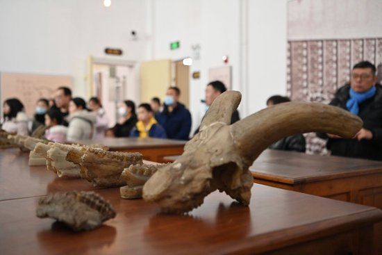  2024年1月27日，游客在位于天津的北疆博物院内参观。新华社记者 李然 摄