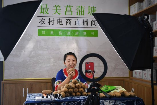 湖南省湘西州凤凰县廖家桥镇菖蒲塘村电子商务中心的主播黄小琼在直播销售猕猴桃（2020年9月10日摄）。新华社记者 薛宇舸 摄