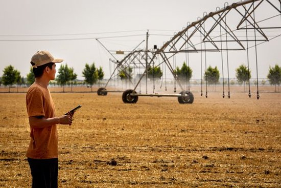 2024年6月14日,河南省安阳市,人们可以使用手机APP操控大型喷灌机为大豆玉米间作农田灌溉。 IC photo