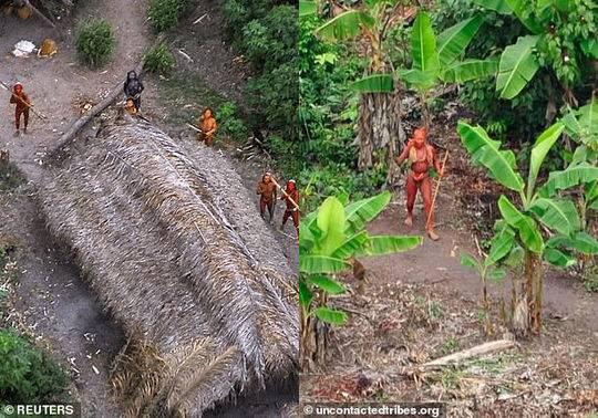 国际生存组织估计，巴西有几十个与世隔绝的部落几乎与外界没有联系。