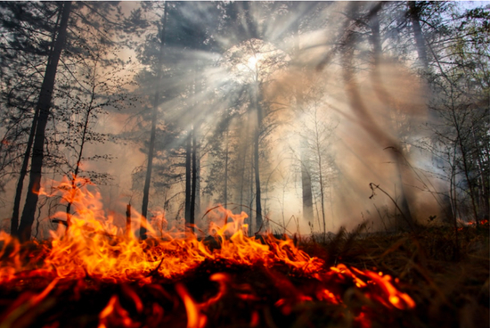  西伯利亚的野火&nbsp;图据《华盛顿邮报》