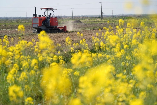 　　在位于江西省南昌县蒋巷镇的大田农社，一台无人驾驶旋耕机在稻田里耕作（3月15日摄）。新华社记者 万象 摄
