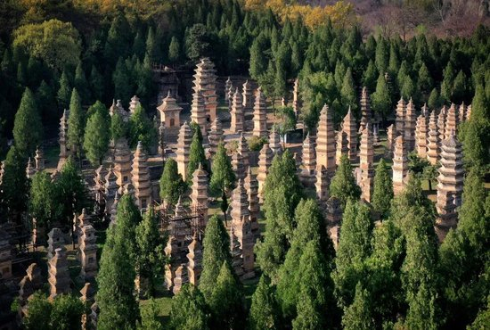  这是登封“天地之中”历史建筑群中的少林寺塔林。图源：新华社