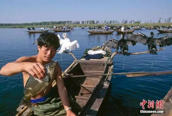 白洋淀，捕鱼。谢光辉&nbsp;摄&nbsp;图片来源：ctpphoto