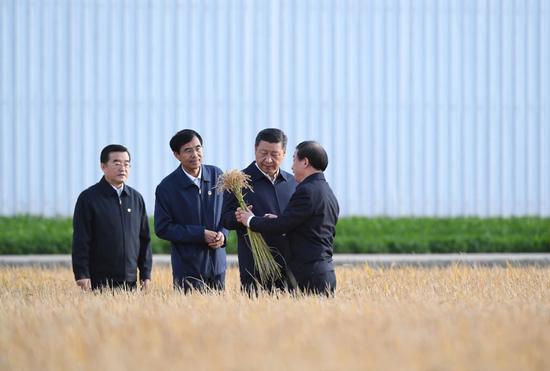 2018年9月25日，中共中央总书记、国家主席、中央军委主席习近平抵达黑龙江省开始考察。这是习近平在黑龙江农垦建三江管理局了解粮食生产和收获情况。新华社记者 燕雁 摄