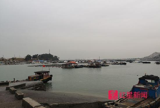  ▲肖厝村渔民养殖水产搭建的渔排。红星新闻