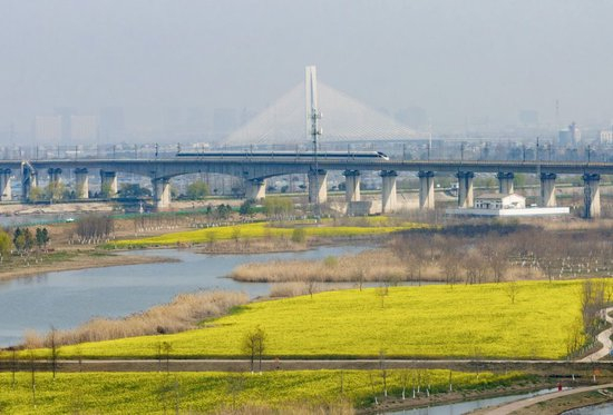 2026年3月11日，一列高铁列车穿行在安徽省合肥市肥东县十八联圩生态湿地（无人机照片）。新华社记者 杜宇 摄