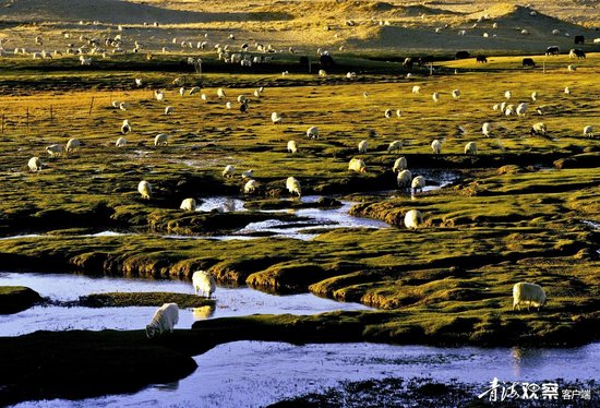  �ຣ���Ͻ�ɫ������ͨѶԱ ������