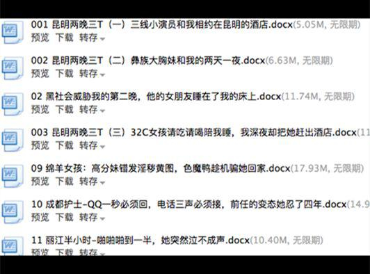  ▷导师白鸭记录自己撩妹的文档截图