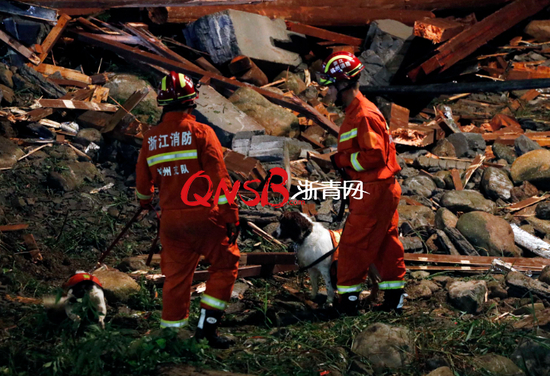  消防员带着搜救犬连夜排查搜救