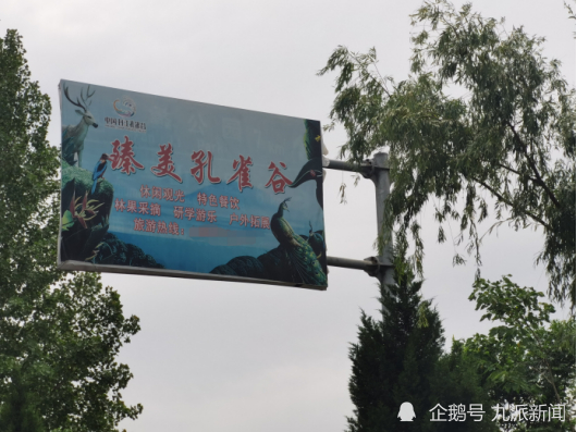 沿途的招牌。图/武汉晨报记者 吴迪