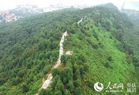  如今的涪陵区江北街道黄旗社区永胜林场。涪陵区检察院供图