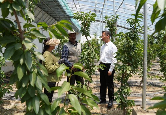 在日喀则市白朗县，济南市第十批援藏干部李东（右一）在与当地种植户交流（2024年6月21日摄）。新华社记者丁汀 摄
