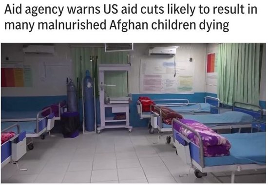  美联社报道截图