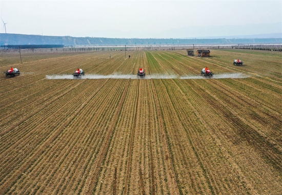 2月22日，高地隙植保机在山西省运城市芮城县新村作业（无人机照片）。新华社记者 柴婷 摄