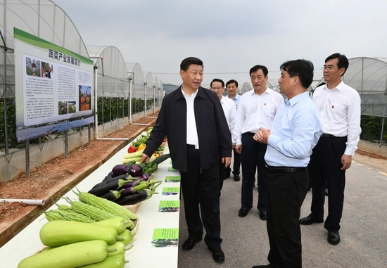 ↑2019年5月20日，习近平在江西赣州市于都县梓山富硒蔬菜产业园考察调研。