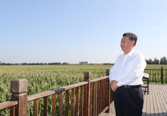 7月22日至24日，中共中央总书记、国家主席、中央军委主席习近平在吉林省考察。这是7月22日下午，习近平考察四平市梨树县国家百万亩绿色食品原料（玉米）标准化生产基地核心示范区地块。